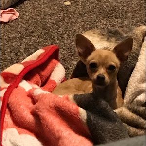 Meet your Posher, Kerstyn